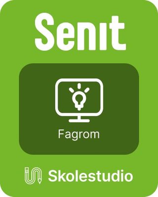 "Senit YF, salg, service og reiseliv, Fagrom, Skolestudio" av Ola Bøkseth Jermstad