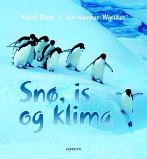 "Snø, is og klima" av Kirsti Blom