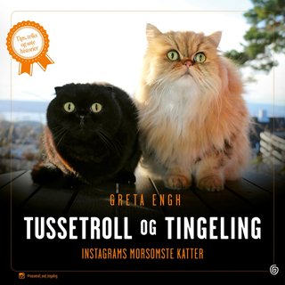 "Tussetroll og Tingeling Instagrams morsomste katter" av Greta Engh