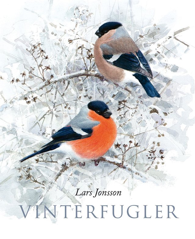 "Vinterfugler" av Lars Jonsson