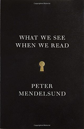 "What We See When We Read (Vintage Original)" av Peter Mendelsund