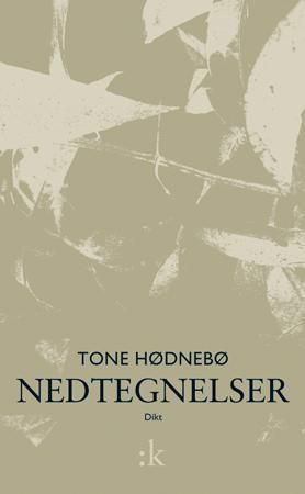 Nedtegnelser - dikt