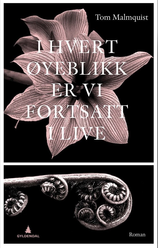 "I hvert øyeblikk er vi fortsatt i live" av Tom Malmquist