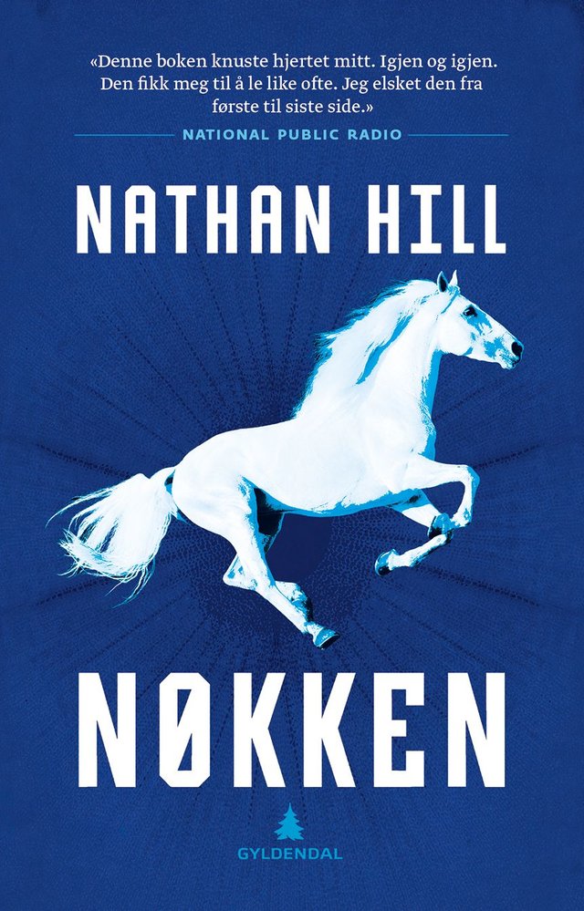 "Nøkken" av Nathan Hill