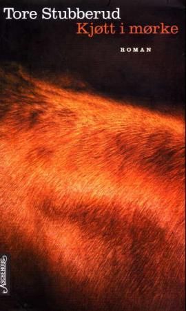 Kjøtt i mørke - roman