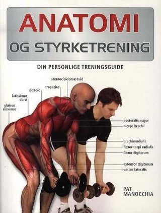Anatomi og styrketrening - din personlige treningsguide