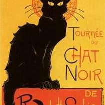 Chat Noir