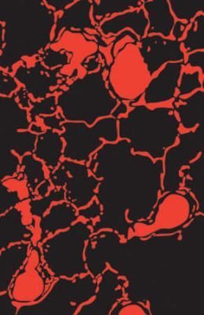 Blood music - future classics