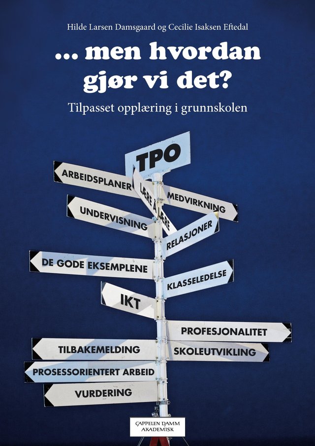 "-men hvordan gjør vi det? - tilpasset opplæring i grunnskolen" av Hilde Larsen Damsgaard