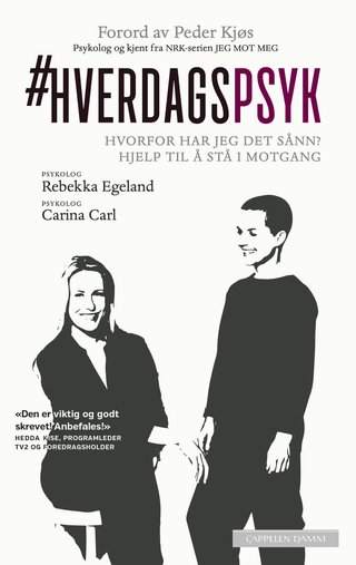 Hverdagspsyk - hvorfor har jeg det sånn?