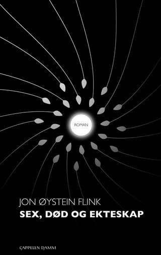 Sex, død og ekteskap - roman