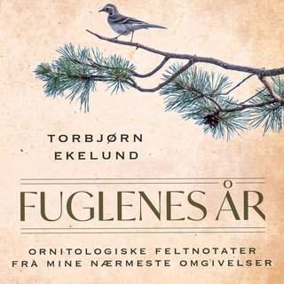 Fuglenes år - ornitologiske feltnotater fra mine nærmeste omgivelser
