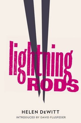 "Lightning Rods" av Helen Dewitt