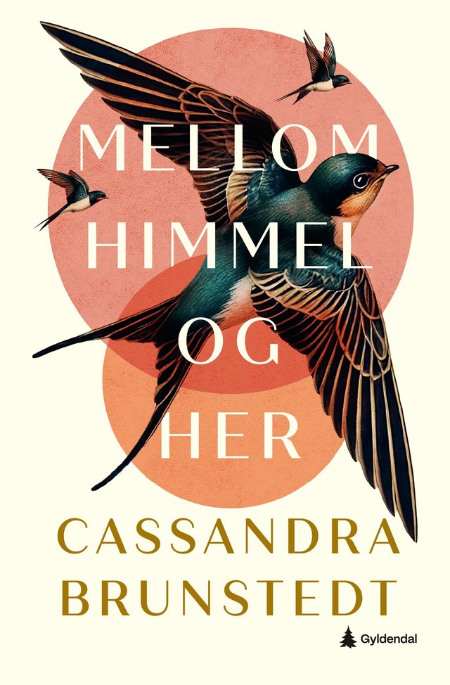 "Mellom himmel og her" av Cassandra Brunstedt