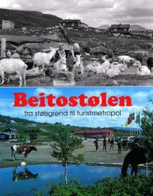 "Beitostølen - fra stølsgrend til turistmetropol" av Arvid Møller