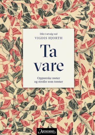 Ta vare - opprørske røster og strofer som trøster