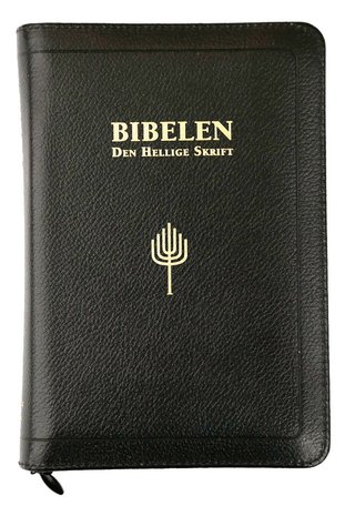 Bibelen - Den hellige skrift : Det gamle og Det nye testamentes kanoniske bøker