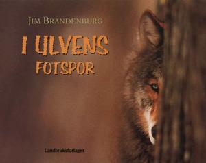 "I ulvens fotspor" av Jim Brandenburg