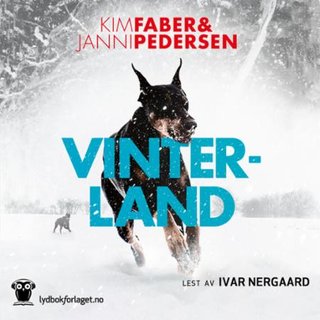 "Vinterland" av Kim Faber