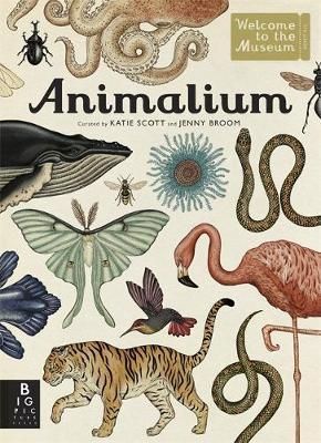 Animalium - welcome to the museum