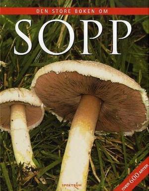 "Sopp" av Till R. Lohmeyer