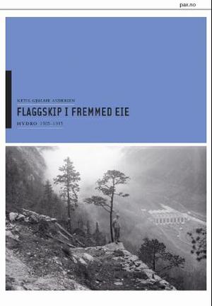 "Hydros historie 1905-2005 - bind I-III" av Ketil Gjølme Andersen