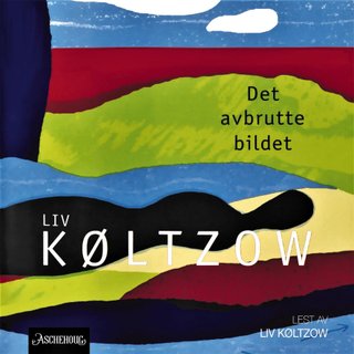 Det avbrutte bildet - roman