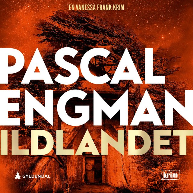 "Ildlandet" av Pascal Engman