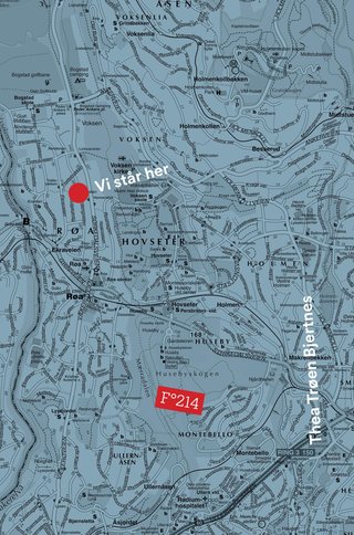 "Vi står her" av Thea Trøen Bjertnes