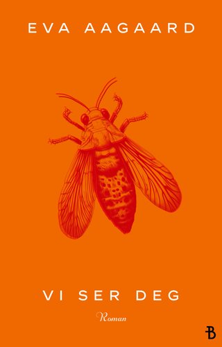 "Vi ser deg" av Eva Aagaard