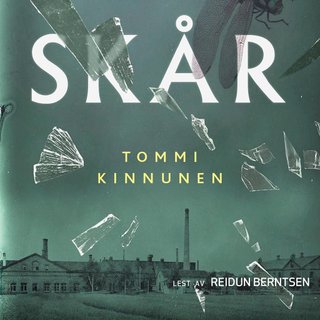 Skår - tredagersroman