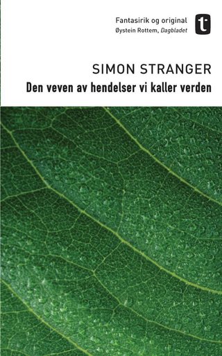 Den veven av hendelser vi kaller verden - roman