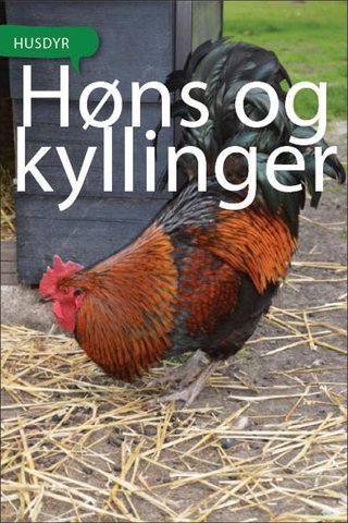 Høns og kyllinger