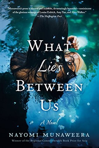 What Lies Between Us - A Novel