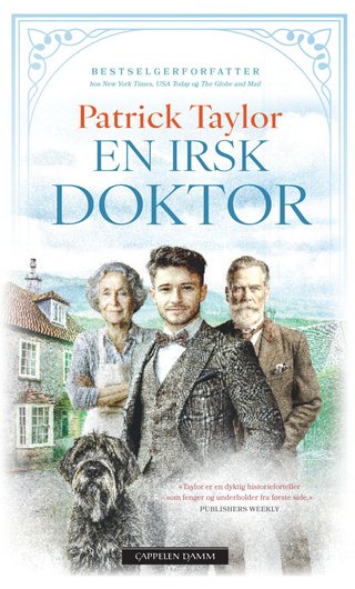 "En irsk doktor" av Patrick Taylor