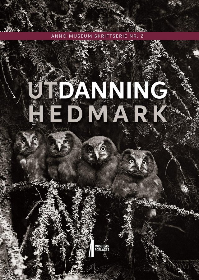 "Utdanning Hedmark" av Bjørn Sverre Hol Haugen