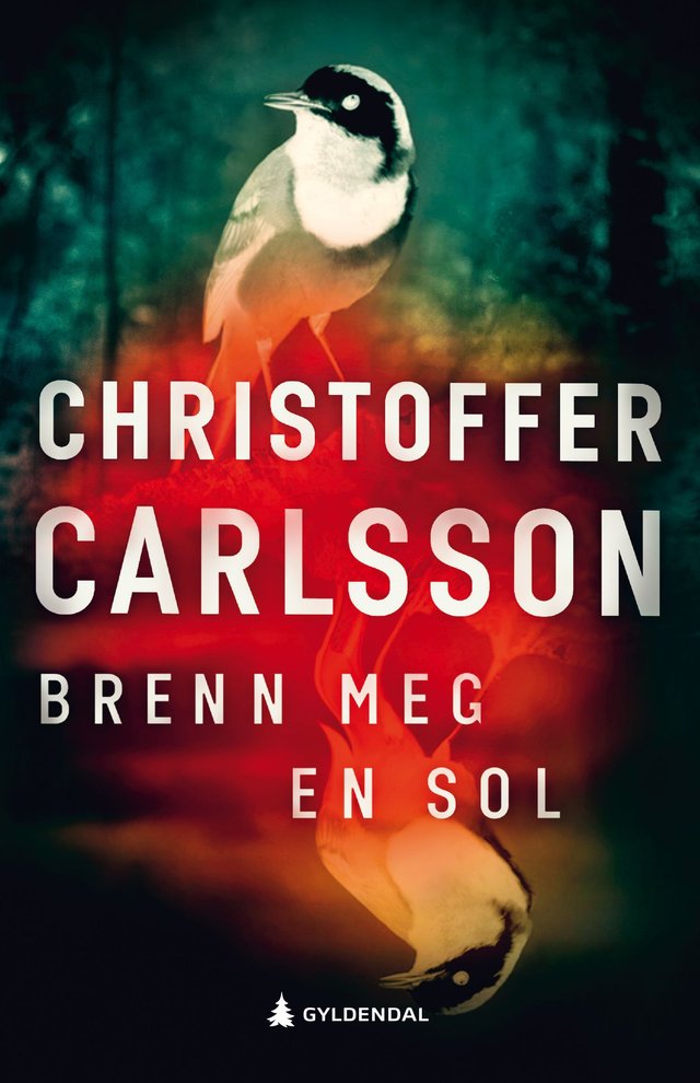 "Brenn meg en sol - en roman om en forbrytelse" av Christoffer Carlsson