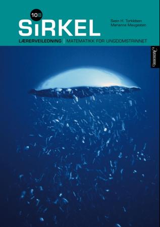 "Sirkel 10B" av Svein H. Torkildsen