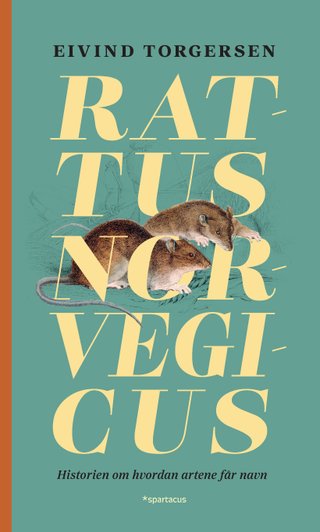 Rattus norvegicus - historien om hvordan artene får navn