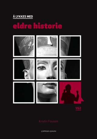 Å lykkes med eldre historie - vg2