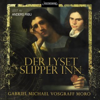 Der lyset slipper inn - roman