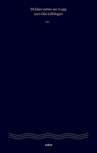 "På klare netter ser vi opp" av Lars Olai Lillehagen