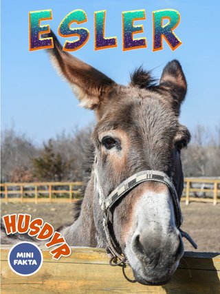 "Esel" av Marte Østmoe