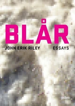 Blår - WTC I-IV : essays og kortprosa