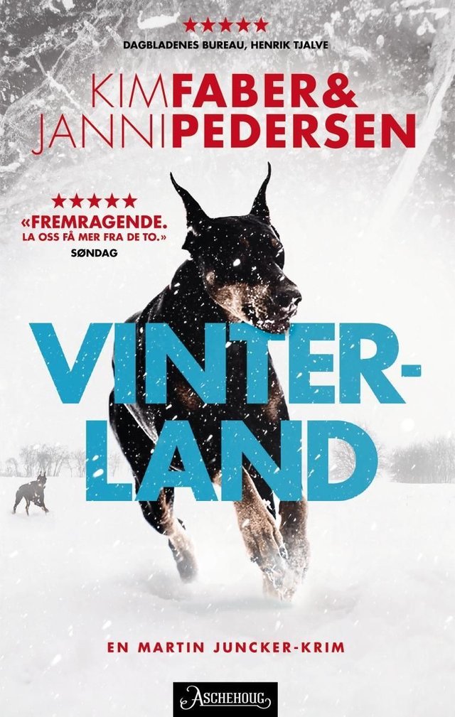 "Vinterland" av Kim Faber