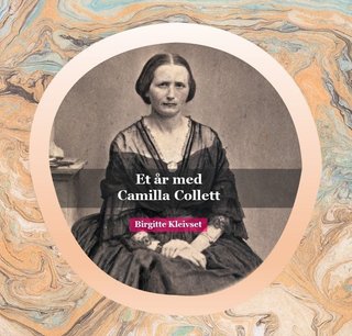 Et år med Camilla Collett
