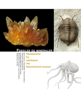 Fossiler og mineraler - høydepunkter fra samlingene ved Naturhistorisk museum