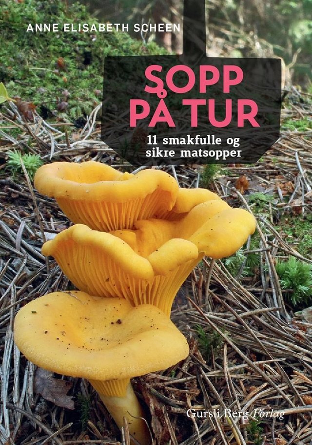 "Sopp på tur - 11 smakfulle og sikre matsopper" av Anne Elisabeth Scheen