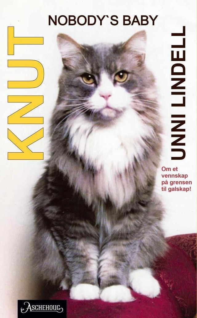 "Knut - nobody's baby" av Unni Lindell