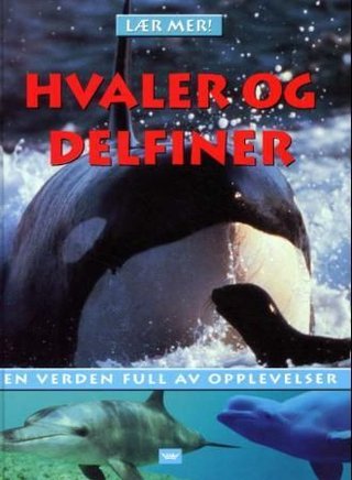 Hvaler og delfiner - en verden full av opplevelser